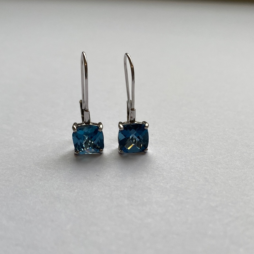 Vintage Blue and Sterling Silver Earrings